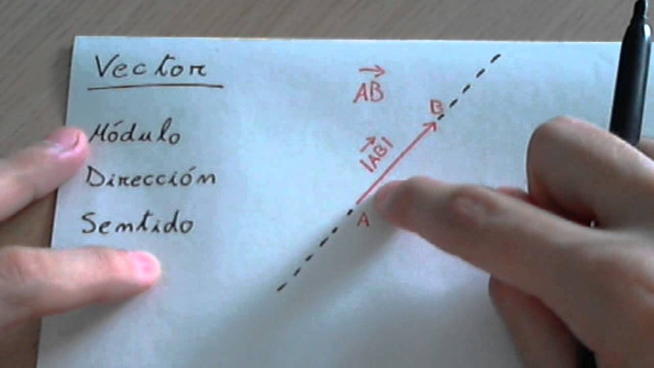 Comprendiendo la distinción entre dirección y sentido en un vector