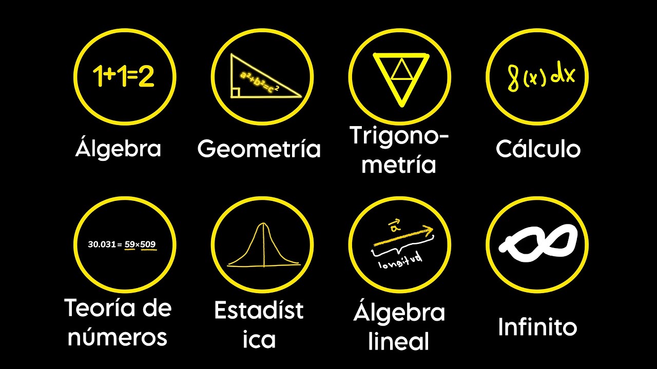 Descubre las diferentes ramas de la matemática