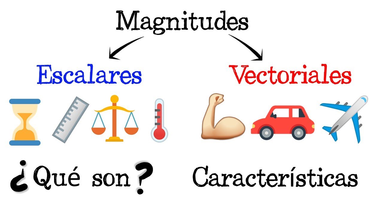 Diferencia entre magnitud escalar y vectorial: ejemplos y explicación