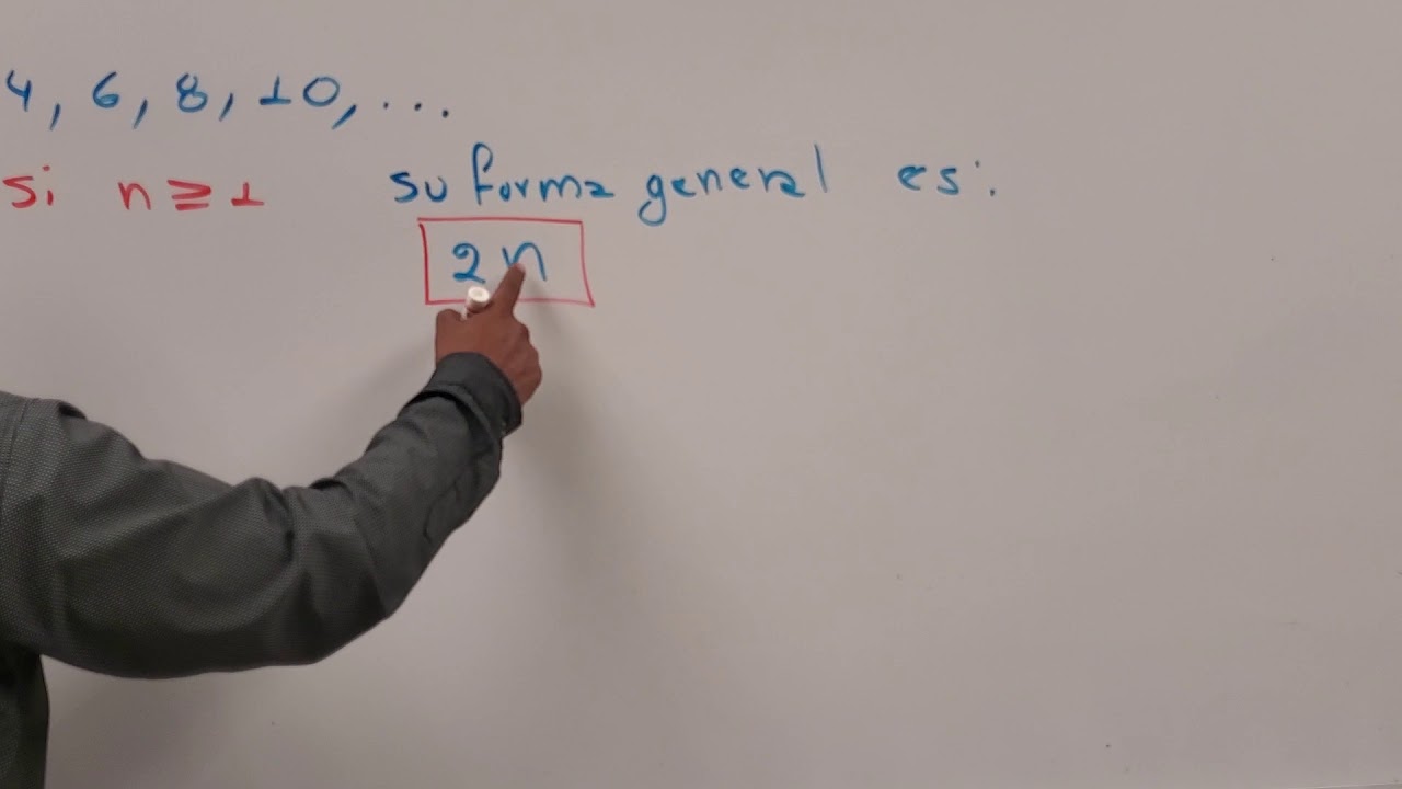 Diferencias entre sucesiones simples y compuestas: ¿Cuál es la distinción?
