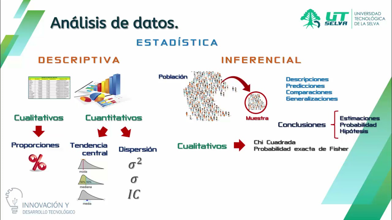 Estadística descriptiva e inferencial: una guía completa