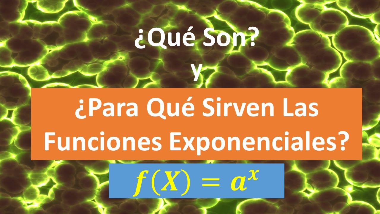 La importancia de aplicar la función exponencial