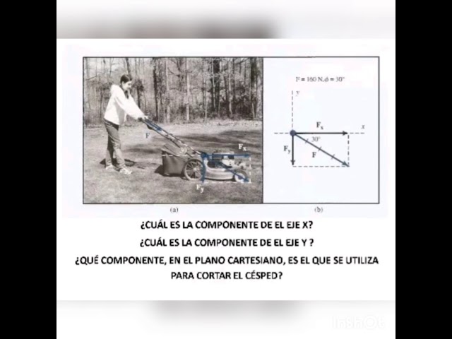 Aplicación práctica de vectores en la vida diaria