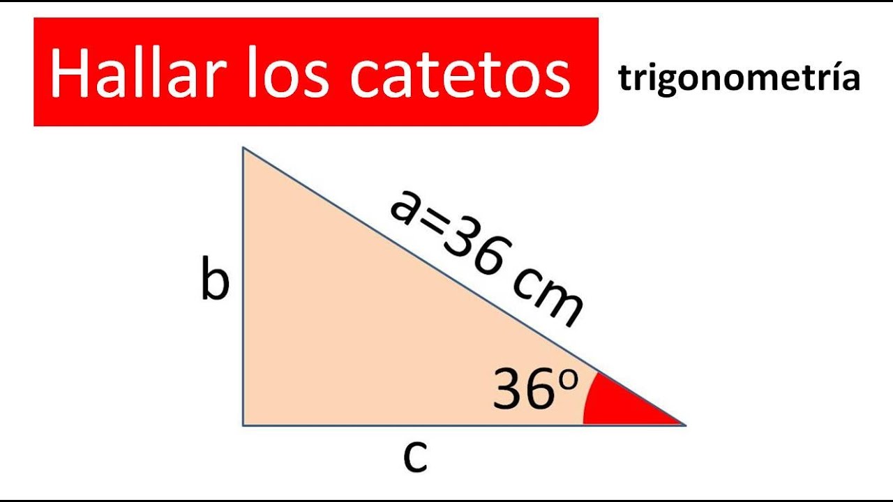 Cómo calcular los catetos conociendo la hipotenusa y el ángulo recto