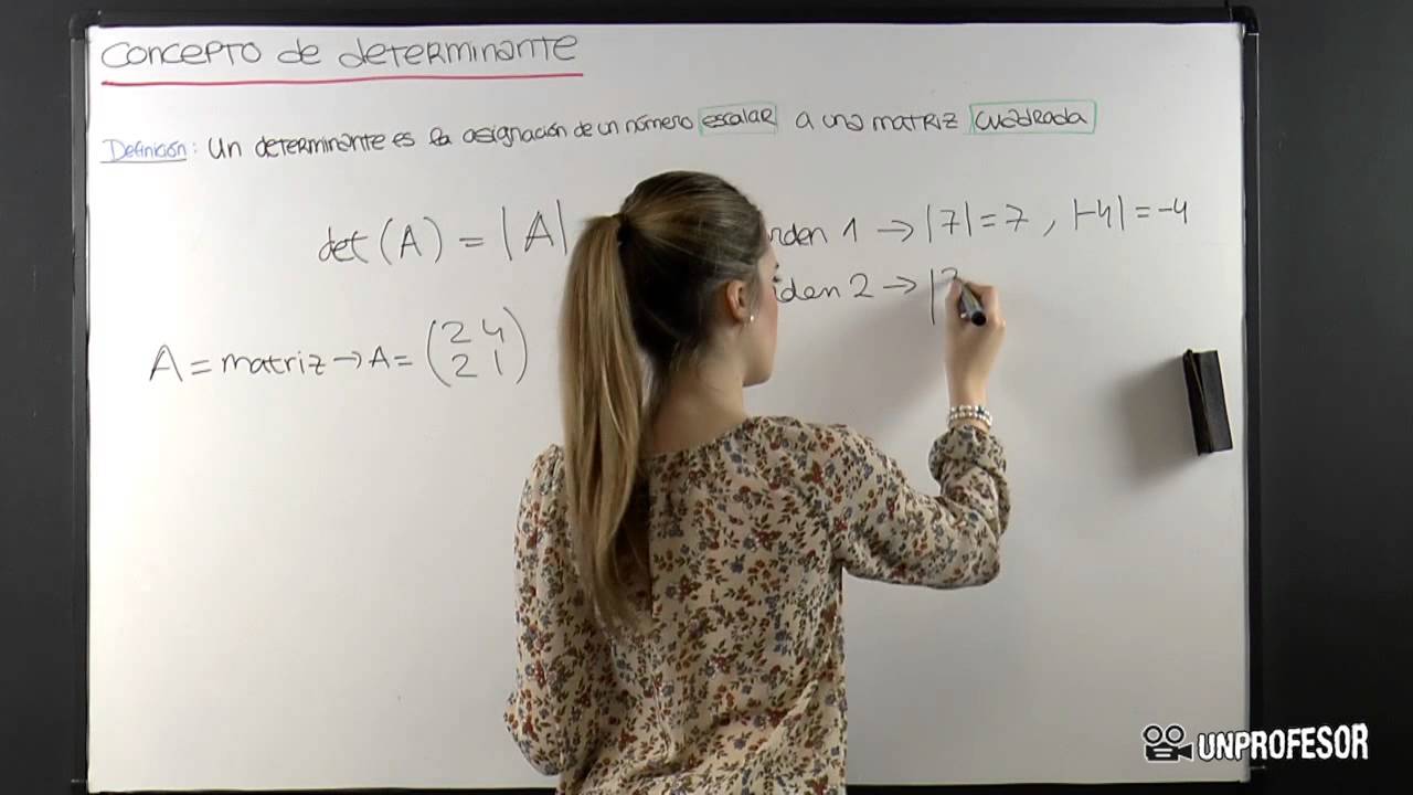 Concepto esencial: determinante de una matriz y su significado