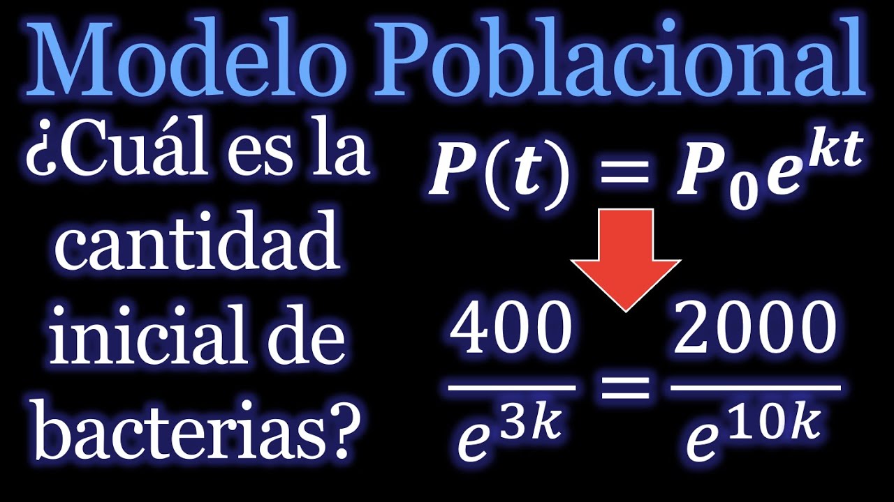Crecimiento proporcional de la población bacteriana en un cultivo