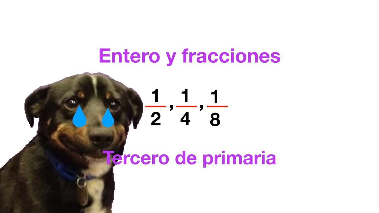 Descubre cómo trabajar con fracciones 1/2 1/4 y 1/8 de manera eficiente