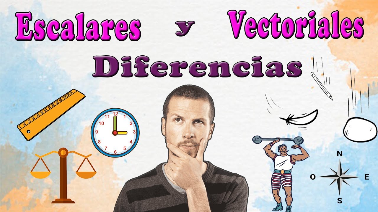 Diferencia entre magnitud escalar y magnitud vectorial: ¿Cuál es?