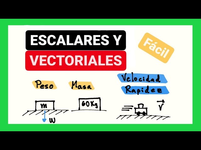 Diferencias entre cantidades escalares y vectoriales: una guía completa