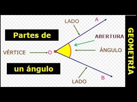 Estructura de un ángulo: partes que lo componen