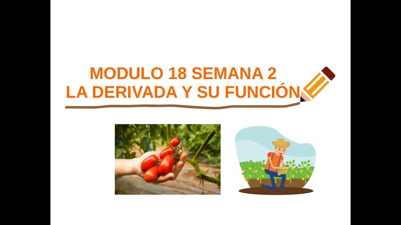 La función y la derivada del módulo 18
