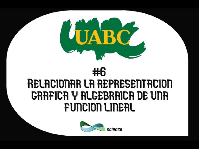 Cómo relacionar la representación gráfica y algebraica de una función lineal