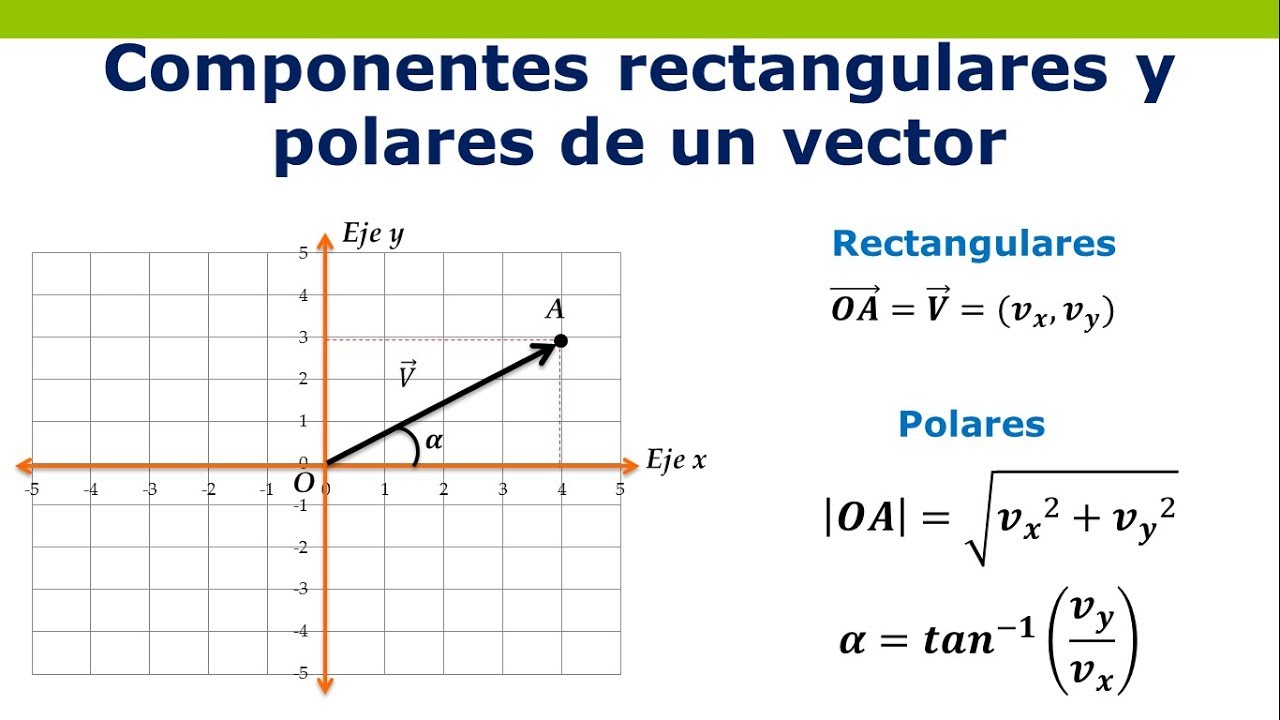 Estructura de un vector: componentes cartesianas y polares
