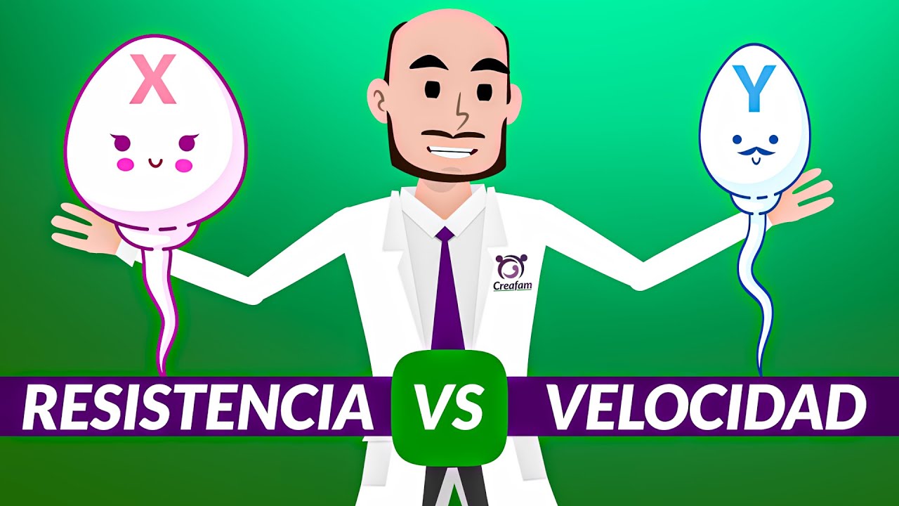 Cómo determinar el género del bebé mediante una fórmula matemática