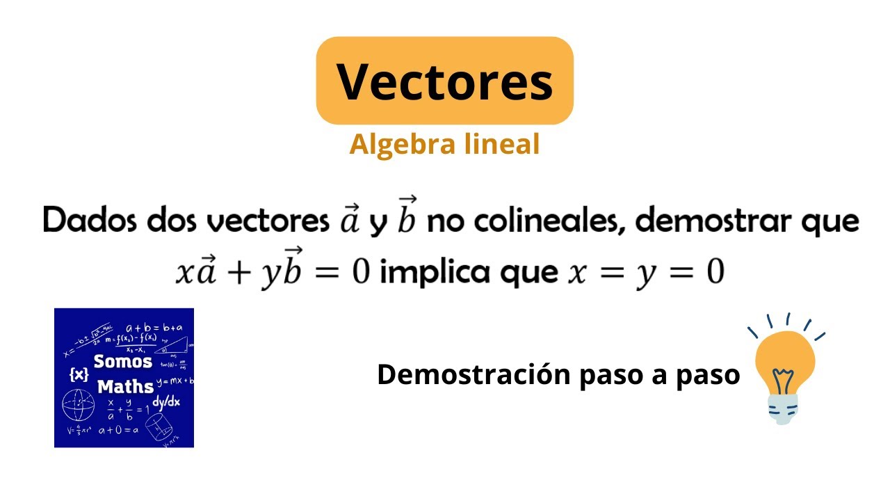 Descubre cómo identificar vectores colineales de forma sencilla