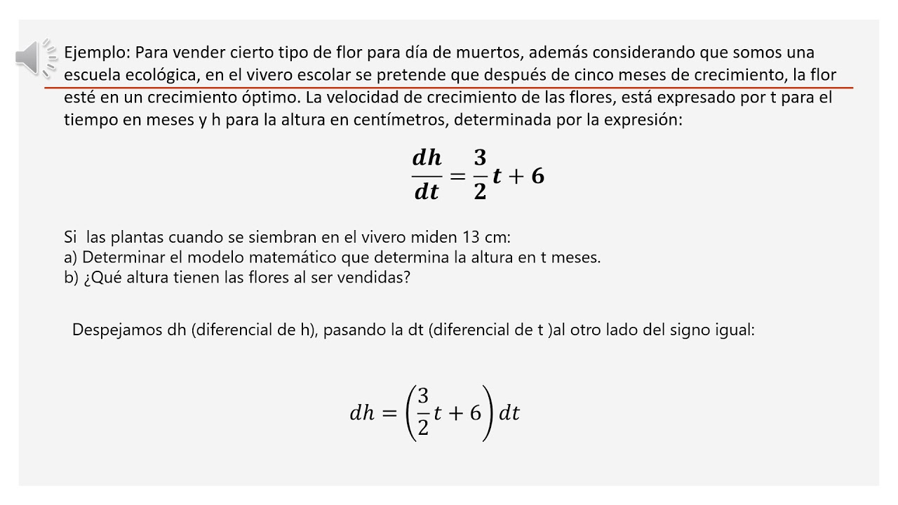 La integral indefinida: una perspectiva geométrica y algebraica en forma de familia de funciones