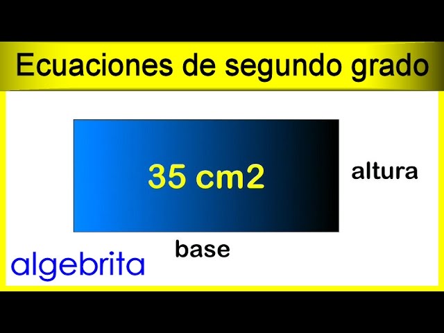 Cálculo del área de un rectángulo con base y altura variables
