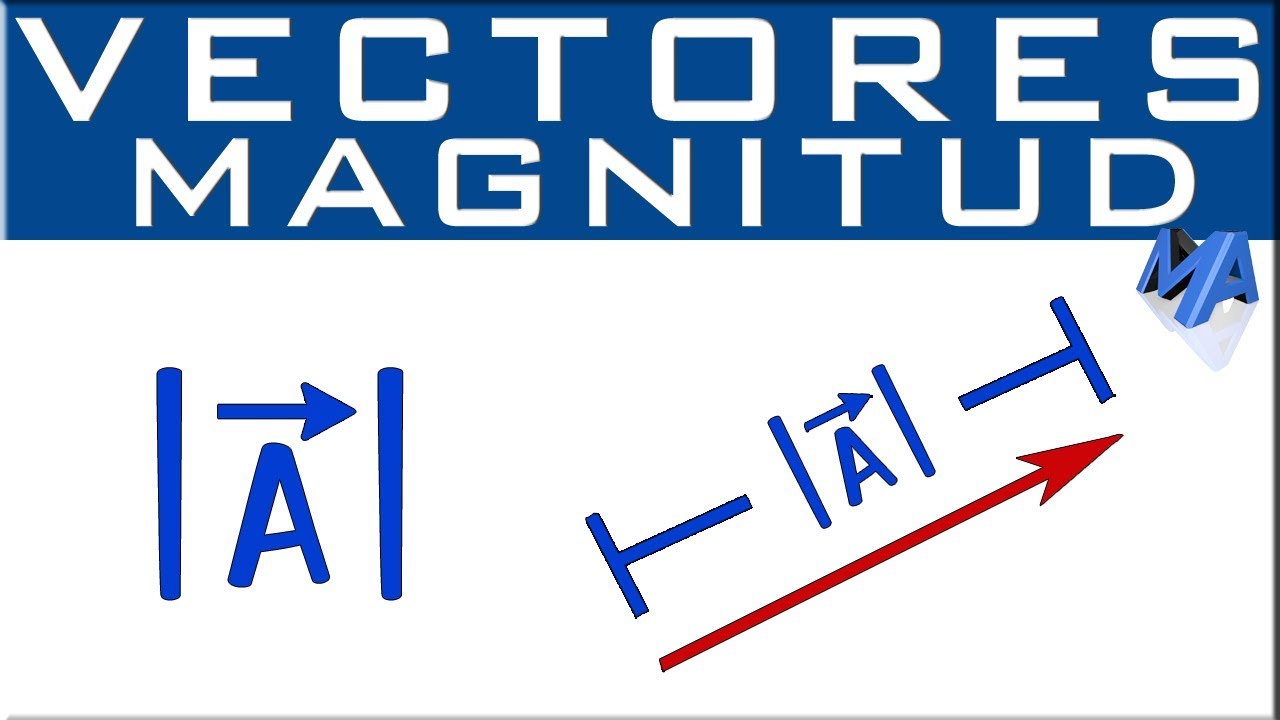 La definición y cálculo de la magnitud de un vector