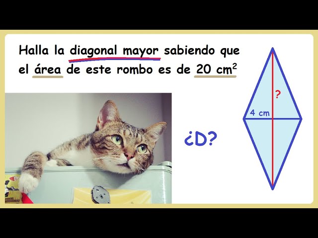 Calcula la longitud de la diagonal mayor de un rombo