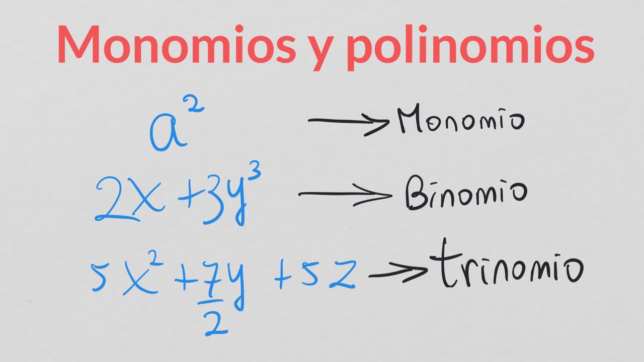 Definición y diferencias entre monomios y polinomios